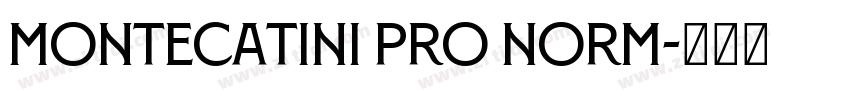 Montecatini Pro Norm字体转换